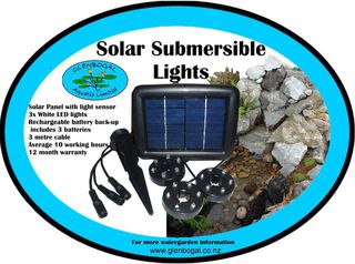Solar Submersible LED lights with back-up battery
