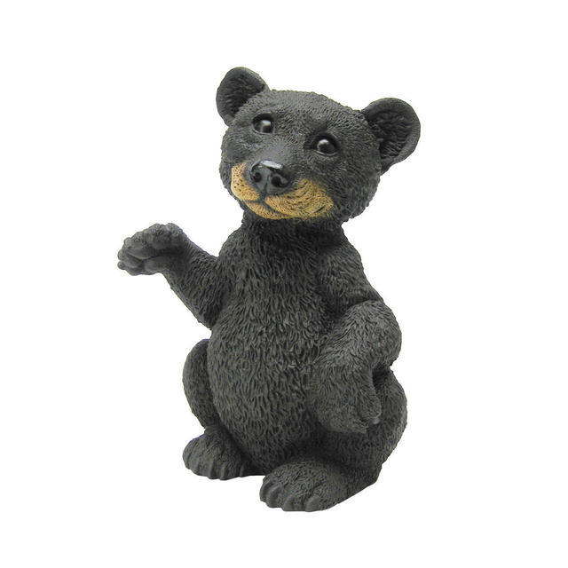 Little Bear Cub standing