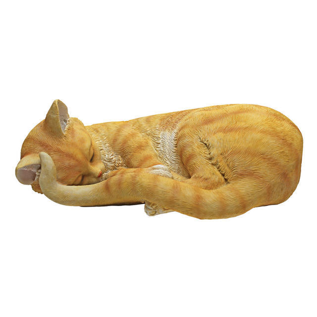 Sleeping Cat