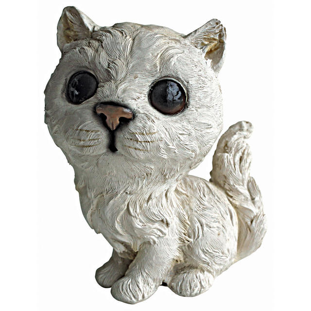 Cherished Cat: Persian kitten