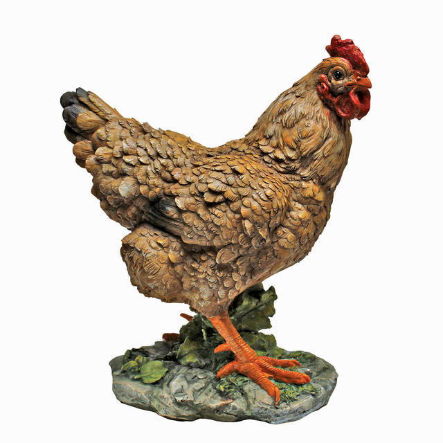 Henrietta Hen