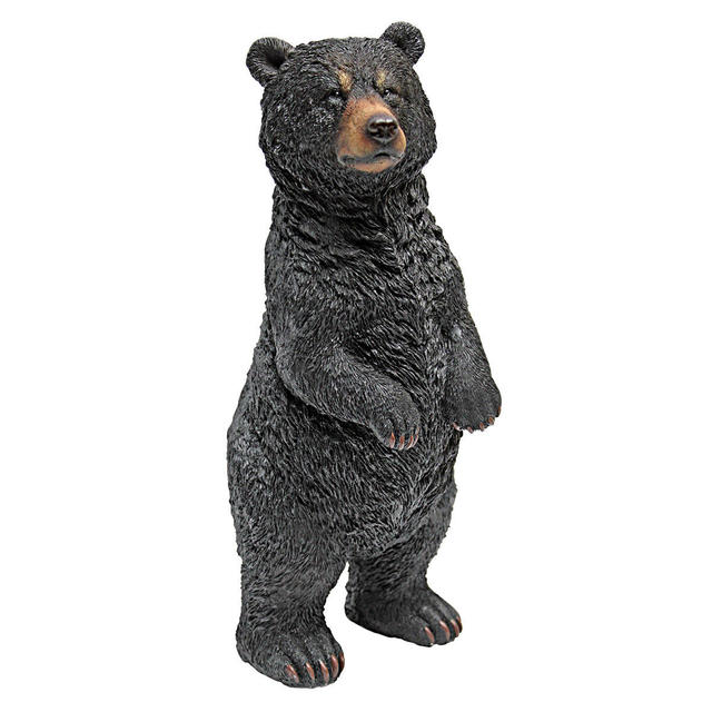 Standing Black Bear