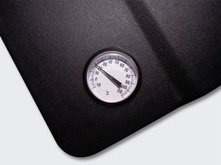 CBF Replacement thermometer