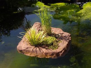 Floating Rock products