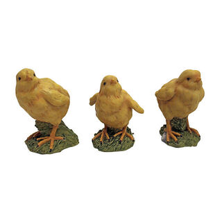 Three Hatching Chicks