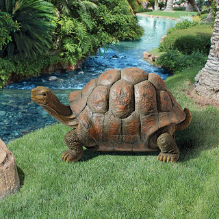 Cagey Tortoise