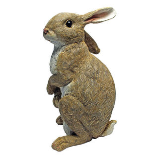 Hopper the Bunny