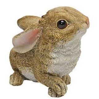 Baby Bunny Ears back statue