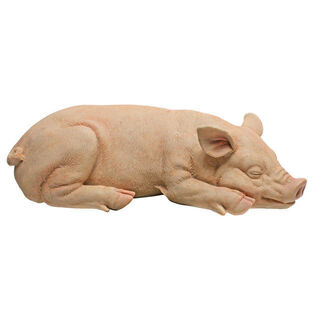 Sandman, Sleeping Pig