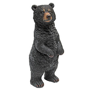 Standing Black Bear