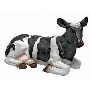 Daisy the Lounging Cow