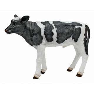 Farm Animals