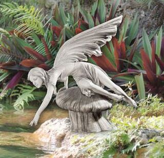 Fairies & Gnomes